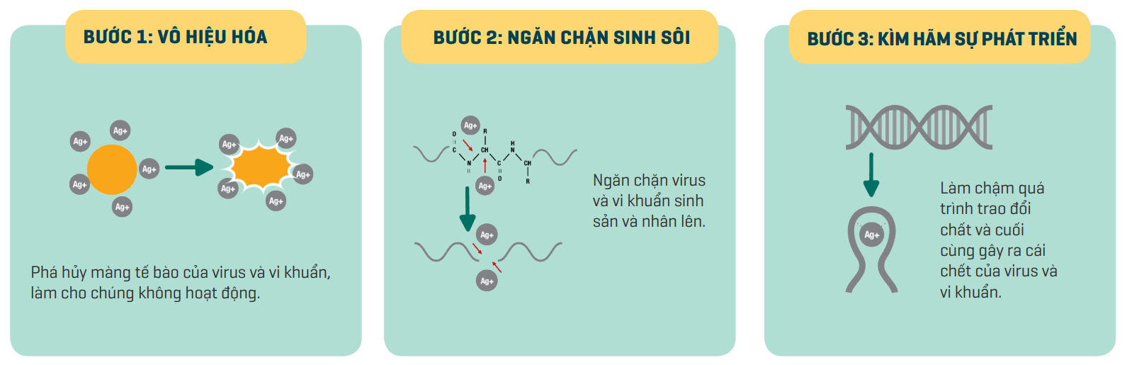 các bước