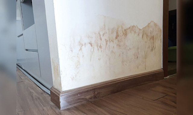 Tường mới sơn nhưng sơn không đảm bảo chất lượng