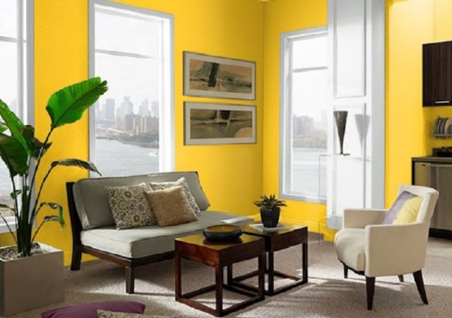 màu sơn cho quán cà phê không gian quán hiện đại với màu Mayan Yellow