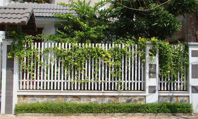 Màu sơn hàng rào đẹp - mệnh kim - Ảnh 2