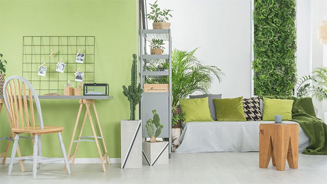 Màu sơn nhà đẹp hợp cho người mệnh Thủy - Ảnh 7