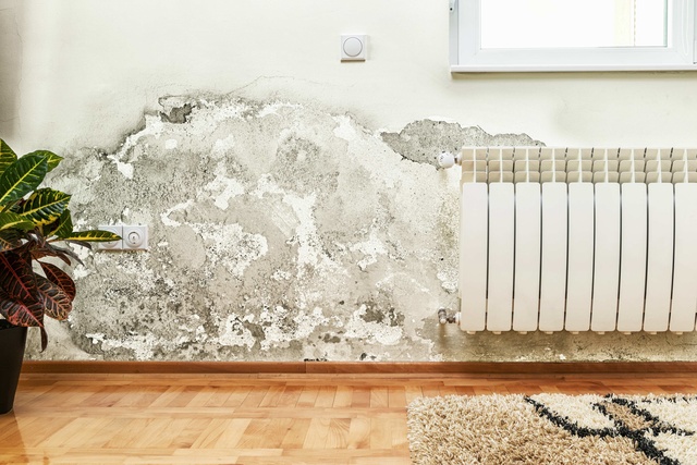 máy đo độ ẩm tường để sơn 1