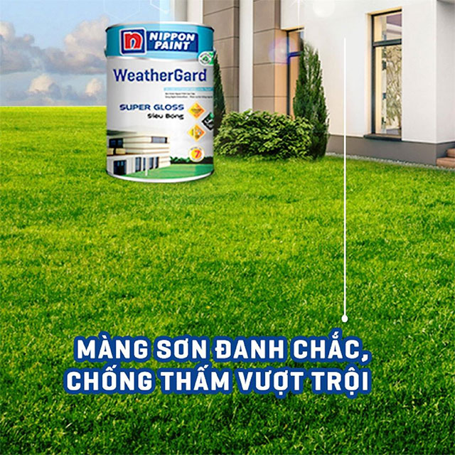 Sơn bóng ngoại thất cao cấp - Ảnh 3