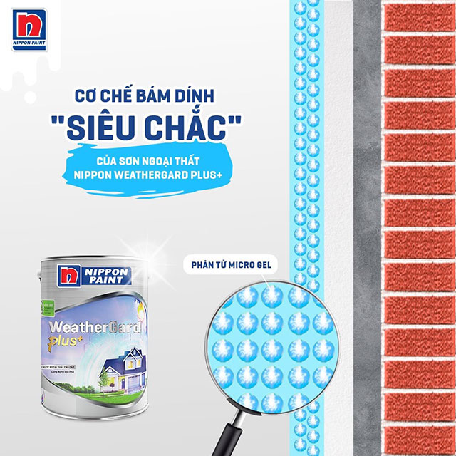 Sơn chống thấm có tác dụng gì - Ảnh 3