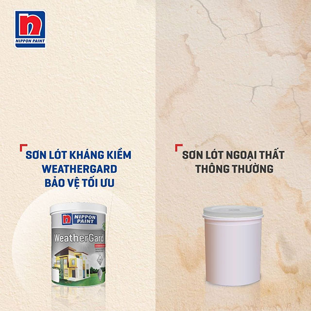 Sơn lót ngoại thất ngoài trời - Ảnh 2
