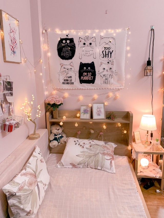 sơn tường phòng trọ với màu Privacy Pink