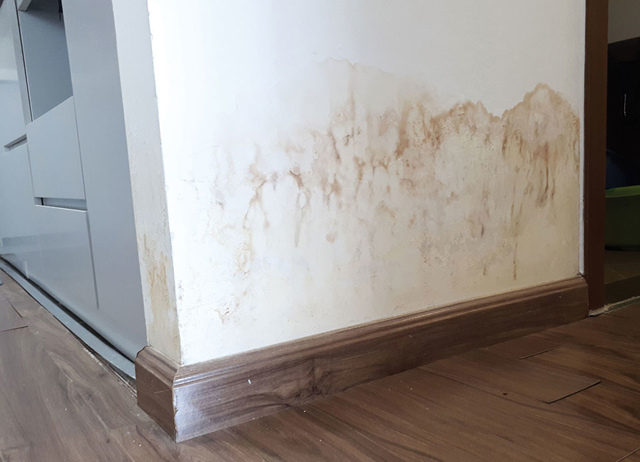 Sự cố sơn tường nhà Màng sơn xuất hiện các mảng ố vàng lớn nhỏ, loang ra khắp bề mặt sơn